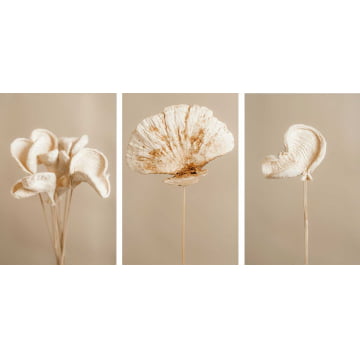 Kit 3 Quadros Retangulares -Trio flower bud
