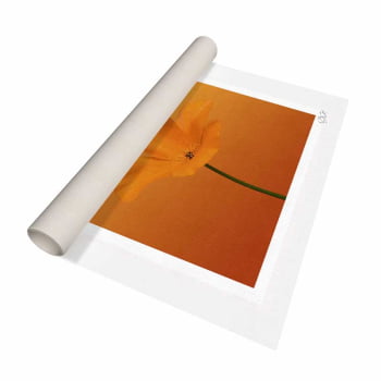 Quadro quadrado - Flor Laranja