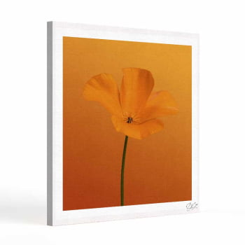 Quadro quadrado - Flor Laranja