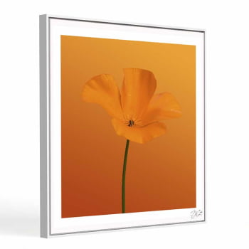 Quadro quadrado - Flor Laranja