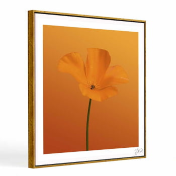 Quadro quadrado - Flor Laranja