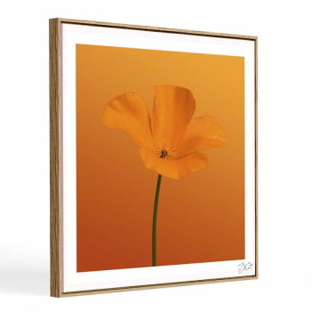 Quadro quadrado - Flor Laranja