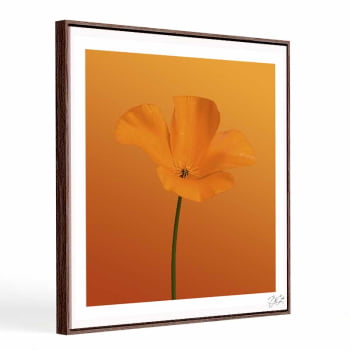 Quadro quadrado - Flor Laranja