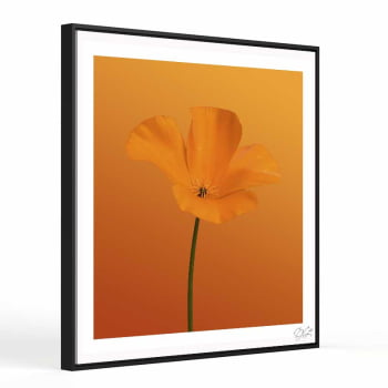 Quadro quadrado - Flor Laranja