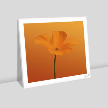 Quadro quadrado - Flor Laranja