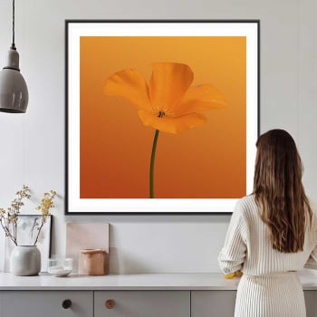 Quadro quadrado - Flor Laranja