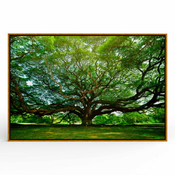 Quadro Retangular  - A grande árvore da vida