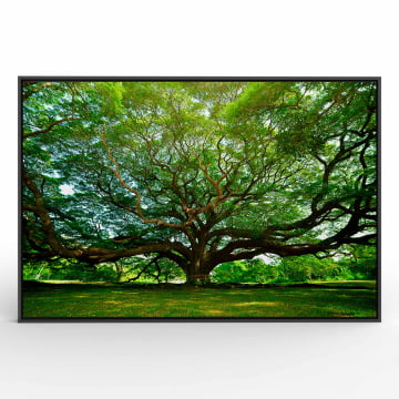 Quadro Retangular  - A grande árvore da vida