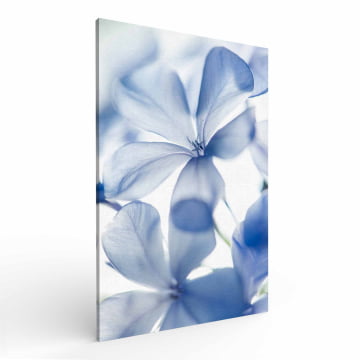 Quadro Retangular  -  Flores Azuis Close