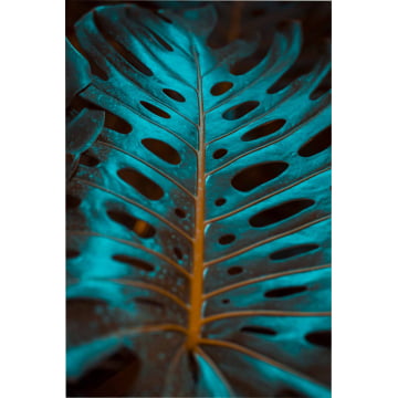 Quadro Retangular  -  Monstera Leaf