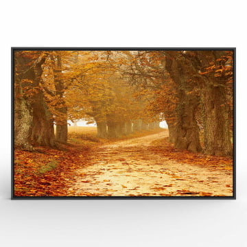 Quadro Retangular  - Um caminho pelas árvores no outono