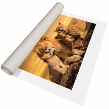 Quadro Retangular  - Família de Leões com 3 filhotes