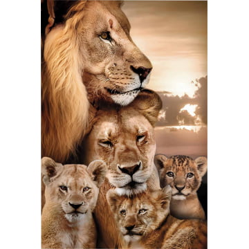 Quadro Retangular  - Retrato de uma família de leões com 3 filhotes