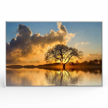 Quadro Retangular - Árvore solitária ao entardecer II