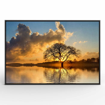 Quadro Retangular - Árvore solitária ao entardecer II