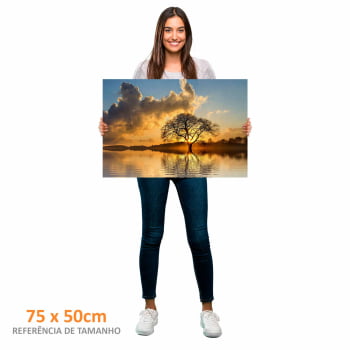 Quadro Retangular - Árvore solitária ao entardecer II