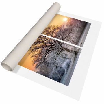 Kit 2 quadros retangulares - Árvore Branca no Pôr do Sol 