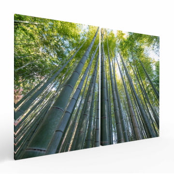 Kit 2 quadros retangulares - Bamboo bottom up