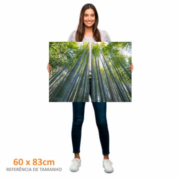 Kit 2 quadros retangulares - Bamboo bottom up