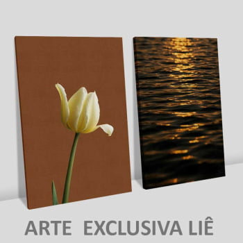 Kit 2 quadros retangulares - Calmaria