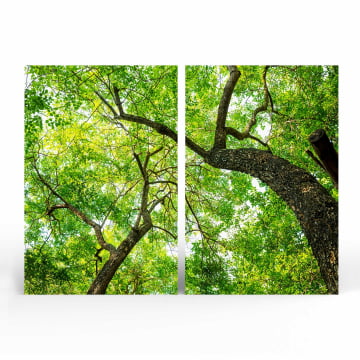 Kit 2 quadros retangulares - Copas de duas árvores