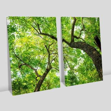 Kit 2 quadros retangulares - Copas de duas árvores