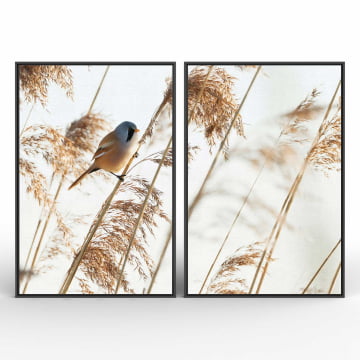 Kit 2 quadros retangulares - Descanso do pássaro