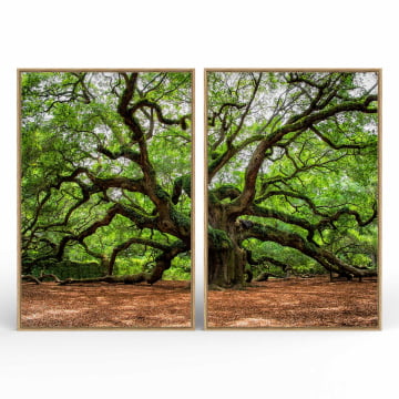 Kit 2 quadros retangulares - Duo Árvore de grandes galhos