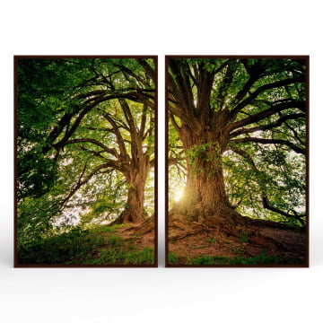 Kit 2 quadros retangulares - Twin trees