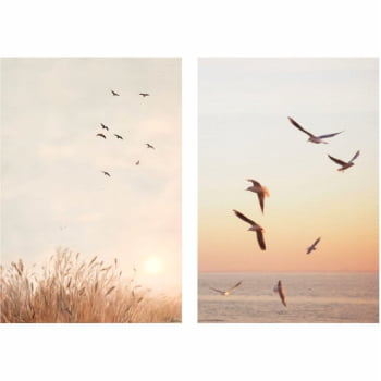 Kit 2 quadros retangulares - Um sonho de liberdade