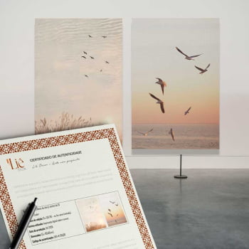 Kit 2 quadros retangulares - Um sonho de liberdade