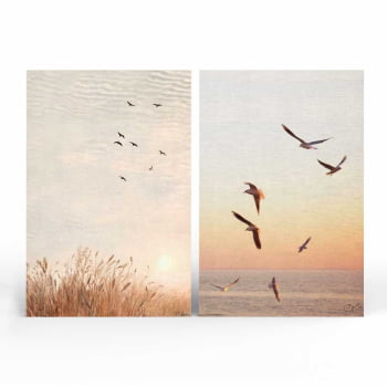 Kit 2 quadros retangulares - Um sonho de liberdade