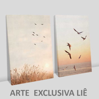 Kit 2 quadros retangulares - Um sonho de liberdade