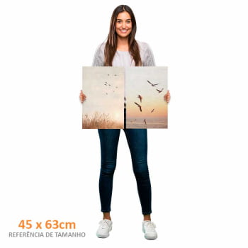 Kit 2 quadros retangulares - Um sonho de liberdade