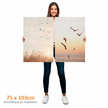 Kit 2 quadros retangulares - Um sonho de liberdade