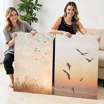 Kit 2 quadros retangulares - Um sonho de liberdade