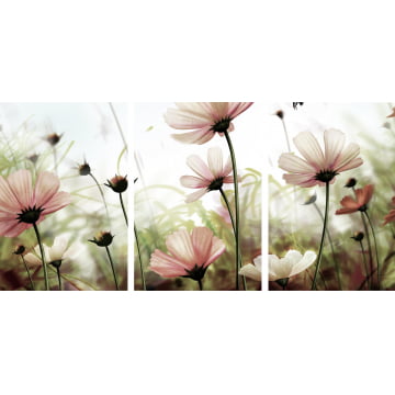 Kit 3 quadros retangulares - Flores cosmo