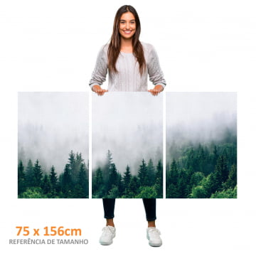 Kit 3 quadros retangulares - Floresta sob a neblina