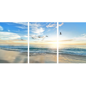 Kit 3 quadros retangulares - Gaivotas na praia