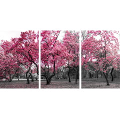Kit 3 quadros retangulares - Ipês rosa no Central Park