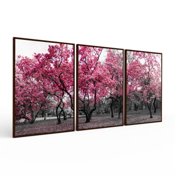 Kit 3 quadros retangulares - Ipês rosa no Central Park
