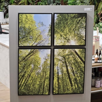 Kit 4 quadros - Tall trees - Moldura Preta - 135x110cm