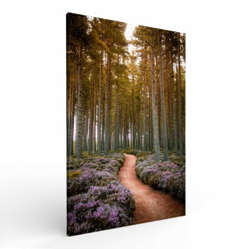 Quadro Retangular - Caminho das Lavandas