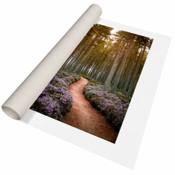 Quadro Retangular - Caminho das Lavandas