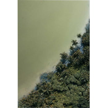 Quadro Retangular - Natureza Viva