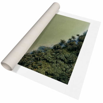 Quadro Retangular - Natureza Viva