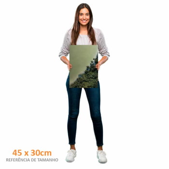 Quadro Retangular - Natureza Viva