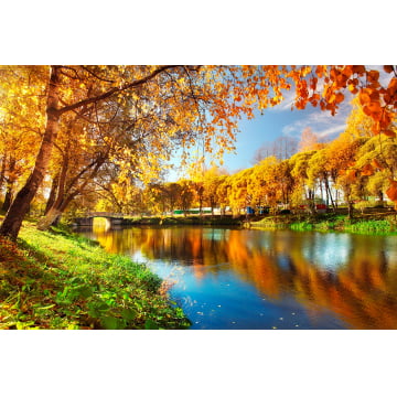 Quadro Retangular - Paisagem de outono: árvores e rio