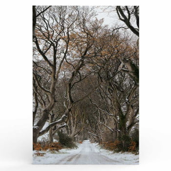 Quadro Retangular - Trilha de Inverno