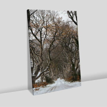 Quadro Retangular - Trilha de Inverno